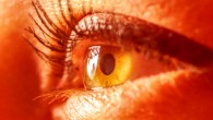 Retina ages faster than other organs, with a 70% ATP reduction over life and a significant decline in photoreceptor function. Image credit: Mario Rottonara.