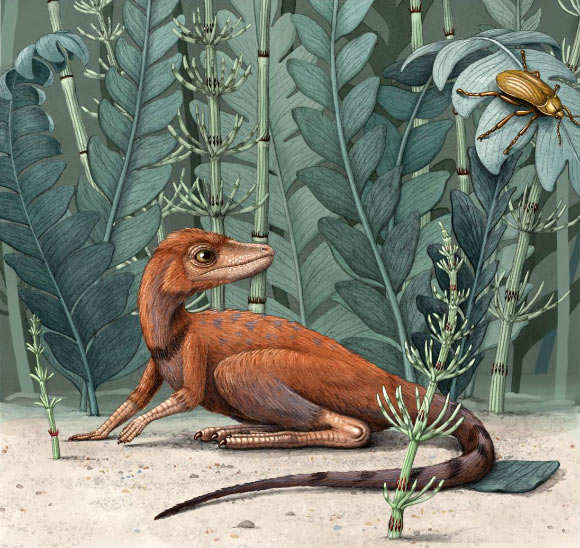 Life restoration of Kongonaphon kely. Image credit: Alex Boersma.