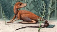 Life restoration of Kongonaphon kely. Image credit: Alex Boersma.