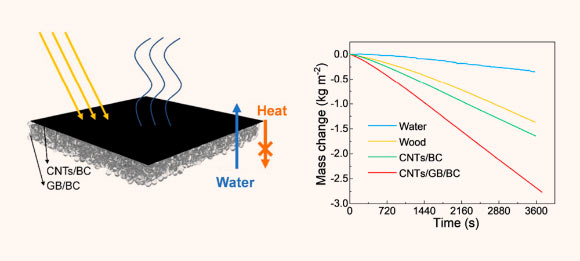 The wood-based hierarchical solar steam generator: CNT - carbon nanotubes, BC - bacterial cellulose, GB - glass bubbles. Image credit: Guan et al, doi: 10.1021/acs.nanolett.0c01088.