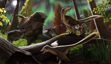 Life reconstruction of the Alaskan saurornitholestine dinosaur in its environment. Image credit: Andrey Atuchin.