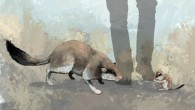 An artist’s impression of the giant dormouse Leithia melitensis (left) and its nearest living relative the garden dormouse (right). Image credit: James Sadler, University of York.