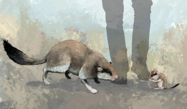 An artist’s impression of the giant dormouse Leithia melitensis (left) and its nearest living relative the garden dormouse (right). Image credit: James Sadler, University of York.