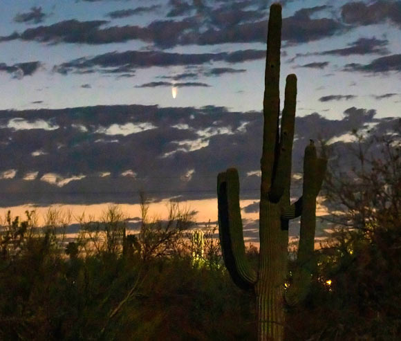 C/2020 F3 (NEOWISE) captured on July 6, 2020, above the northeast horizon just before sunrise in Tucson, Arizona. Image credit: Vishnu Reddy.