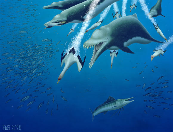 Life restoration of a pod of Ankylorhiza tiedemani. Image credit: Robert Boessenecker.