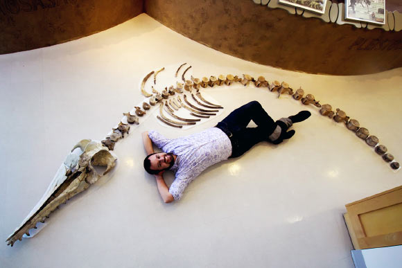 The skeleton of Ankylorhiza tiedemani and Dr. Boessenecker. Image credit: College of Charleston.