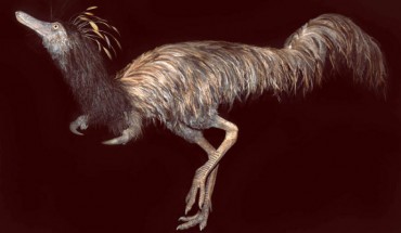 This life-size model of Trierarchuncus prairiensis was sculpted by Boban Filipovic, a paleontologist and artist from Serbia, and is on display at Badlands Dinosaur Museum, Dickinson, ND. Image credit: Boban Filipovic / Badlands Dinosaur Museum.