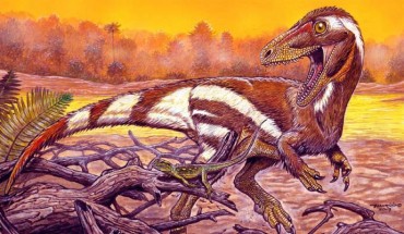 Life reconstruction of Aratasaurus museunacionali. Image credit: Maurilio Oliveira.