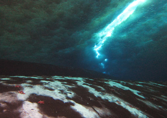 The Cinder Cones seep, the Ross Sea, Antarctica: the white microbial mats are telltale signs of areas where methane may be released from underground methane deposits. Image credit: Andrew Thurber, Oregon State University.