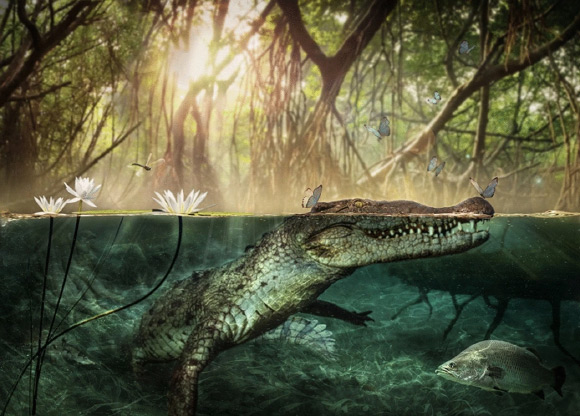 Life appearance of Crocodylus checchiai from As Sahabi, Libya. Image credit: D.A. Iurino.