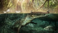 Life appearance of Crocodylus checchiai from As Sahabi, Libya. Image credit: D.A. Iurino.