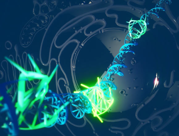 Illustration of quadruple helix DNA (green) forming. Image credit: Ella Maru Studio.