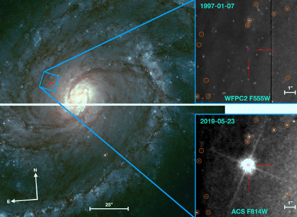 These pre-explosion (left panel and right top panel) and post-explosion (right bottom panel) images from Hubble show SN 2019ehk and its host galaxy Messier 100. The location of SN 2019ehk is marked by red lines and the alignment uncertainty is indicated by pink ellipses. Image credit: Jacobson-Galán et al, doi: 10.3847/1538-4357/ab9e66.