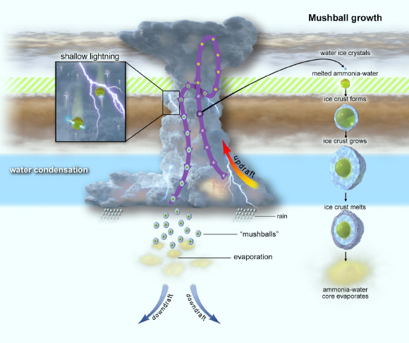 This graphic depicts the evolutionary process of ‘shallow lightning’ and ammonia-water mushballs. An anvil-shaped thunderstorm cloud originates about 65 km (40 miles) below Jupiter’s visible cloud deck. Powered by water-based moist convection, the cloud generates strong updrafts that move liquid water and water ice particles upward. About 19 km (12 miles) up, temperatures are so low that all of the water particles turn to ice. Still climbing, the ice particles cross a region located about 23 km (14 miles) below the upper clouds, where temperatures are between minus 85 degrees Celsius (minus 121 degrees Fahrenheit) and minus 100 degrees Celsius (minus 150 degrees Fahrenheit), depicted as green-hashed layer. At that point, ammonia vapor in the atmosphere acts like an antifreeze, melting the water-ice crystals, transforming them into ammonia-water liquid droplets which then grow and gather a solid icy shell to become mushballs. Once big enough, these slushy hailstones fall down, transporting both ammonia and water into Jupiter’s deep atmosphere where the mushballs eventually evaporate. Image credit: NASA / JPL-Caltech / SwRI / CNRS.