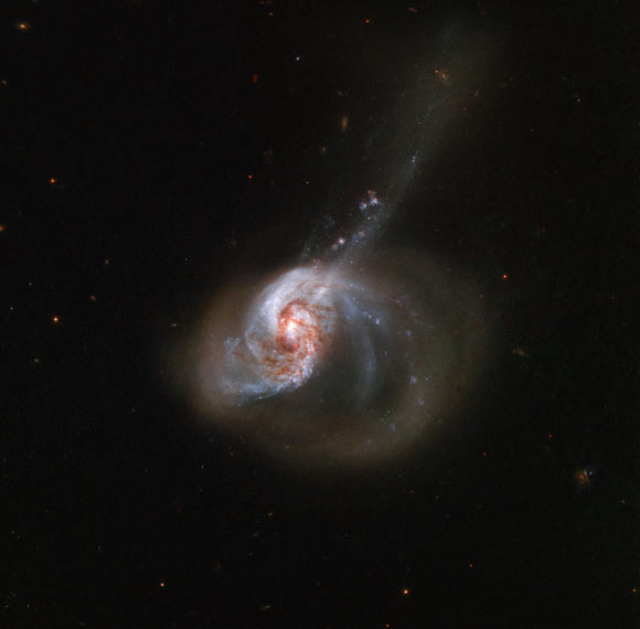 This Hubble image shows the barred spiral galaxy NGC 1614. The color image is made up of observations from Hubble’s Wide Field Camera 3 (WFC3) and Advanced Camera for Surveys (ACS) in the near-infrared and optical parts of the spectrum. Four filters were used to sample various wavelengths. The color results from assigning different hues to each monochromatic image associated with an individual filter. Image credit: NASA / ESA / Hubble / A. Adamo.