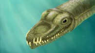Tanystropheus hydroides. Image credit: Emma Finley-Jacob.