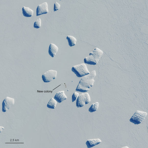 A penguin colony near Ninnis Bank was spotted by ESA’s Copernicus Sentinel-2 mission on August 26, 2019. Imager credit: ESA / Copernicus Sentinel / British Antarctic Survey / CC BY-SA 3.0 IGO.