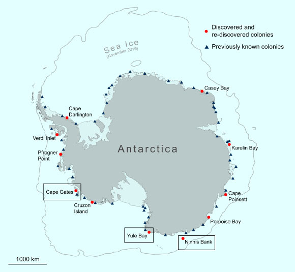 This map shows the locations of known, re-discovered and newly-discovered emperor penguin colonies in Antarctica. Image credit: ESA / British Antarctic Survey.