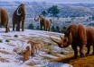 This image depicts a Pleistocene landscape in northern Spain with woolly mammoths (Mammuthus primigenius), a woolly rhinoceros (Coelodonta antiquitatis), and European cave lions (Panthera leo spelaea) with a reindeer carcass. Image credit: Mauricio Antón.