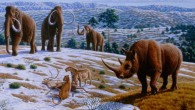 This image depicts a Pleistocene landscape in northern Spain with woolly mammoths (Mammuthus primigenius), a woolly rhinoceros (Coelodonta antiquitatis), and European cave lions (Panthera leo spelaea) with a reindeer carcass. Image credit: Mauricio Antón.