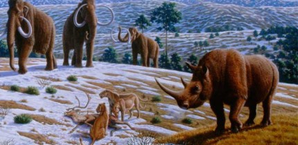 This image depicts a Pleistocene landscape in northern Spain with woolly mammoths (Mammuthus primigenius), a woolly rhinoceros (Coelodonta antiquitatis), and European cave lions (Panthera leo spelaea) with a reindeer carcass. Image credit: Mauricio Antón.