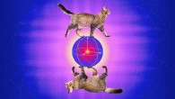 Error-correcting Schrödinger’s cats. Image credit: Michael S. Helfenbein.