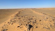 A mustatil in the Nefud Desert, northern Arabia. Image credit: Huw Groucutt.