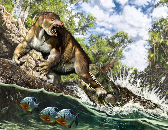 Life reconstruction of the putative attack of a young to sub-adult Purussaurus on the ground sloth Pseudoprepotherium in a swamp of proto-Amazonia. Image credit: Jorge A. González.