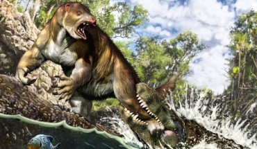 Life reconstruction of the putative attack of a young to sub-adult Purussaurus on the ground sloth Pseudoprepotherium in a swamp of proto-Amazonia. Image credit: Jorge A. González.
