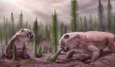 An artist’s impression of Lystrosaurus. Image credit: Victor O. Leshyk, www.victorleshyk.com / University of Birmingham.