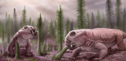 An artist’s impression of Lystrosaurus. Image credit: Victor O. Leshyk, www.victorleshyk.com / University of Birmingham.