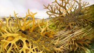 Ecological reconstruction of a 165-million-year-old lacewing mimicking a lichen that existed during the same time period. Image credit: Xiaoran Zuo.
