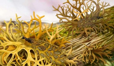 Ecological reconstruction of a 165-million-year-old lacewing mimicking a lichen that existed during the same time period. Image credit: Xiaoran Zuo.