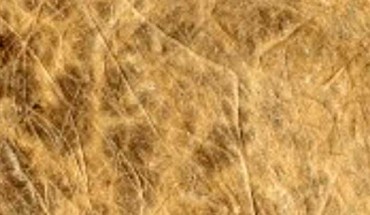 A stone plaquette engraved with abstract designs from the Magdalenian site of Les Varines, Jersey, Channel Islands. Image credit: Bello et al, doi: 10.1371/journal.pone.0236875.