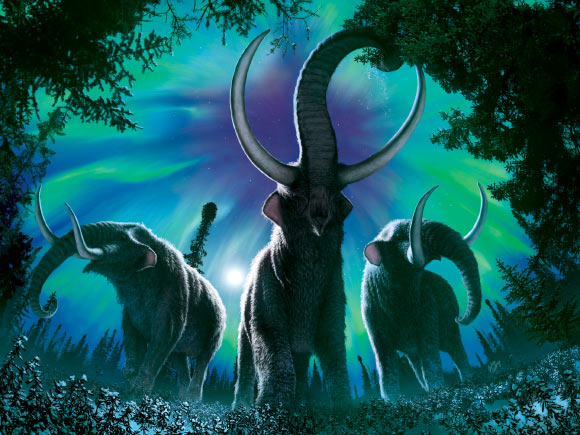 Artistic rendering of American mastodons (Mammut americanum). Image credit: Julius Csotonyi.
