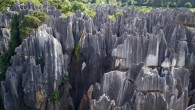 Stone forest in Yunnan province, China. Image credit: Zhang Yuan.