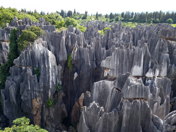 Stone forest in Yunnan province, China. Image credit: Zhang Yuan.