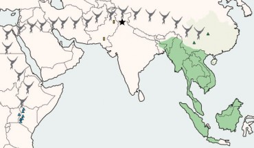Map illustrating the location of Kapi ramnagarensis (black star) relative to modern (dark green) and historical (light green) populations of lesser apes (gibbons and siamangs) and the approximate distribution of stem hominoid sites in East Africa (blue triangles); green triangles mark the location of the lesser ape fossil species Bunopithecus and Yuanmoupithecus; yellow rectangles mark the location of the fossil catarrhine species Dionysopithecus sp. from Middle Miocene sites in Pakistan. Image credit: Luci Betti-Nash.