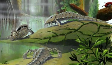 Lamsdell et al present details of the respiratory organs of Adelophthalmus pyrrhae from the Carboniferous of Montagne Noire, France, revealed through micro computed tomography (μ-CT) imaging. Image credit: Lamsdell et al, doi: 10.1016/j.cub.2020.08.034.