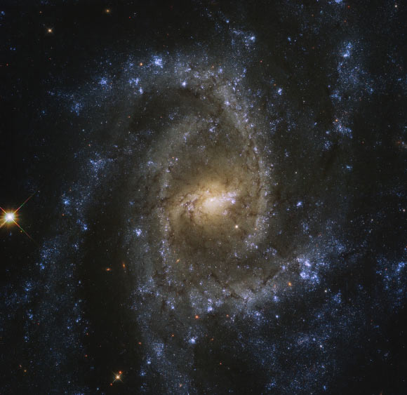 This Hubble image shows NGC 2835, an intermediate spiral galaxy approximately 28.5 million light-years away in the constellation of Hydra. The color image was made from separate exposures taken in the ultraviolet, visible and near-infrared regions of the spectrum with Hubble’s Wide Field Camera 3 (WFC3). It is based on data obtained through five filters. The color results from assigning different hues to each monochromatic image associated with an individual filter. Image credit: NASA / ESA / Hubble / J. Lee / PHANGS-HST Team / Judy Schmidt, www.geckzilla.com.