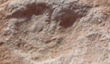 Human track and its digital elevation model. Image credit: Klint Janulis, University of Oxford.