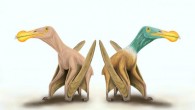 An artist’s impression of a bald pterosaur and a feathered pterosaur. Image credit: Megan Jacobs, University of Portsmouth.
