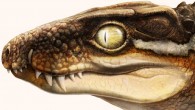 Life restoration of Ogresuchus furatus. Image credit: Aina and Agnès Amblás / Institut Català de Paleontologia Miquel Crusafont.