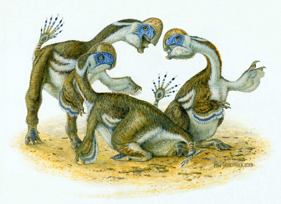 Three individuals of Oksoko avarsan. Image credit: Michael W. Skrepnick.