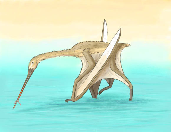 An artist’s impression of Leptostomia begaaensis. Image credit: Megan Jacobs, University of Portsmouth.