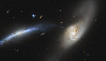 This Hubble image shows interacting galaxies NGC 2798 (right) and NGC 2799 (left). The color image includes optical and near-infrared observations from Hubble’s Advanced Camera for Surveys (ACS). Three filters were used to sample various wavelengths. The color results from assigning different hues to each monochromatic image associated with an individual filter. Image credit: NASA / ESA / Hubble / SDSS / J. Dalcanton / Judy Schmidt, www.geckzilla.com.