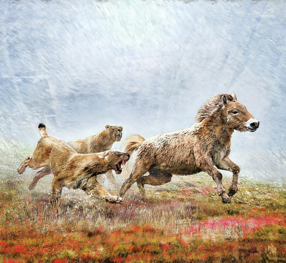 A pair of Homotherium latidens chasing an ancient equid. Image credit: University of Copenhagen.