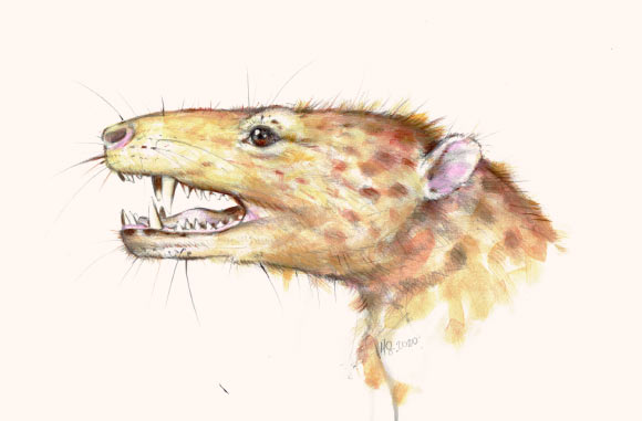 An artist’s impression of Kalaallitkigun jenkinsi. Image credit: Marta Szubert.