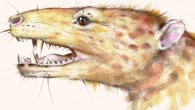 An artist’s impression of Kalaallitkigun jenkinsi. Image credit: Marta Szubert.