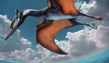 Life reconstruction of Ordosipterus planignathus. Image credit: Chuang Zhao.